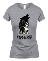 Women's Soft Style Fitted T-Shirt