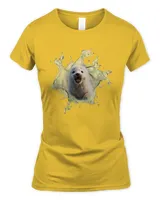 Women's Soft Style Fitted T-Shirt
