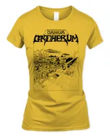 Women's Soft Style Fitted T-Shirt