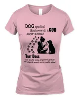 Women's Soft Style Fitted T-Shirt Women's Soft Style Fitted T-Shirt