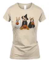 Women's Soft Style Fitted T-Shirt