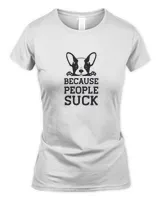 Women's Soft Style Fitted T-Shirt