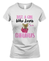 Women's Soft Style Fitted T-Shirt