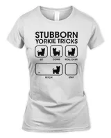 Women's Soft Style Fitted T-Shirt Women's Soft Style Fitted T-Shirt