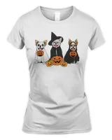 Women's Soft Style Fitted T-Shirt