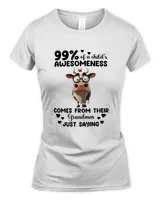 Women's Soft Style Fitted T-Shirt
