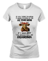Women's Soft Style Fitted T-Shirt