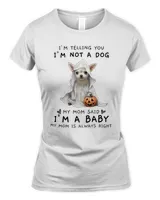 Women's Soft Style Fitted T-Shirt