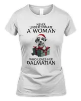Women's Soft Style Fitted T-Shirt