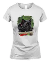 Women's Soft Style Fitted T-Shirt Women's Soft Style Fitted T-Shirt