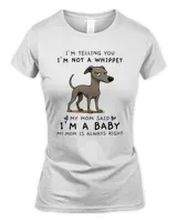 Women's Soft Style Fitted T-Shirt