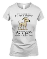 Women's Soft Style Fitted T-Shirt