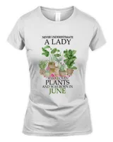 Women's Soft Style Fitted T-Shirt