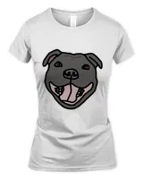 Women's Soft Style Fitted T-Shirt