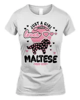 Women's Soft Style Fitted T-Shirt