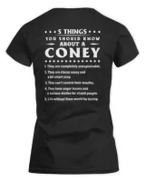 Women's Soft Style Fitted T-Shirt