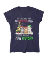 Women's Soft Style Fitted T-Shirt