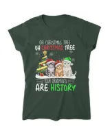 Women's Soft Style Fitted T-Shirt