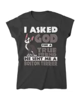 Women's Soft Style Fitted T-Shirt Women's Soft Style Fitted T-Shirt