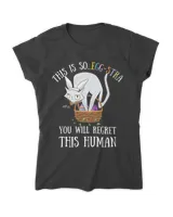 Women's Soft Style Fitted T-Shirt Women's Soft Style Fitted T-Shirt