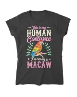 Women's Soft Style Fitted T-Shirt Women's Soft Style Fitted T-Shirt