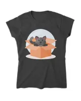 Women's Soft Style Fitted T-Shirt