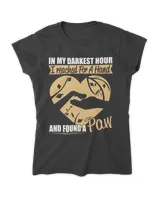 Women's Soft Style Fitted T-Shirt Women's Soft Style Fitted T-Shirt