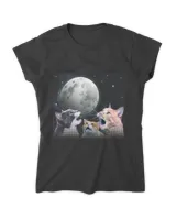 Women's Soft Style Fitted T-Shirt