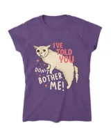 Women's Soft Style Fitted T-Shirt
