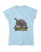 Women's Soft Style Fitted T-Shirt