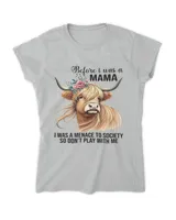 Women's Soft Style Fitted T-Shirt