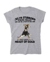 Women's Soft Style Fitted T-Shirt