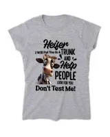 Women's Soft Style Fitted T-Shirt