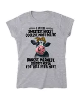 Women's Soft Style Fitted T-Shirt