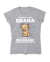 Women's Soft Style Fitted T-Shirt