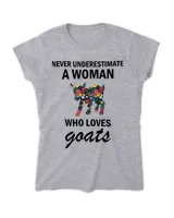 Women's Soft Style Fitted T-Shirt