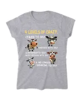 Women's Soft Style Fitted T-Shirt