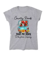 Women's Soft Style Fitted T-Shirt
