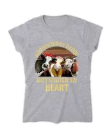 Women's Soft Style Fitted T-Shirt