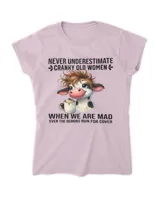 Women's Soft Style Fitted T-Shirt