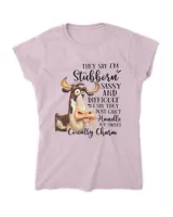Women's Soft Style Fitted T-Shirt