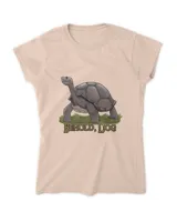 Women's Soft Style Fitted T-Shirt