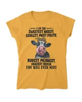 Women's Soft Style Fitted T-Shirt