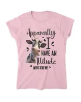 Women's Soft Style Fitted T-Shirt