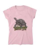 Women's Soft Style Fitted T-Shirt
