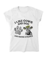 Women's Soft Style Fitted T-Shirt