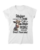 Women's Soft Style Fitted T-Shirt