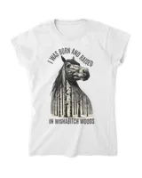 Women's Soft Style Fitted T-Shirt