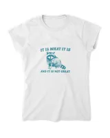 Women's Soft Style Fitted T-Shirt