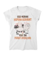 Women's Soft Style Fitted T-Shirt